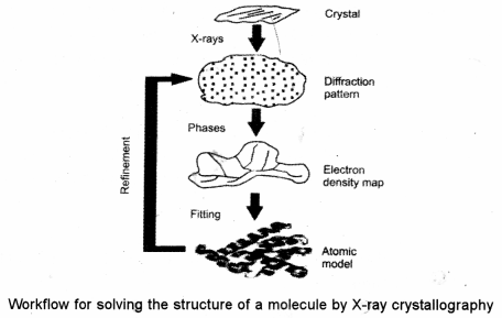 ISC Biotechnology Question Paper 2014 Solved for Class 12 2