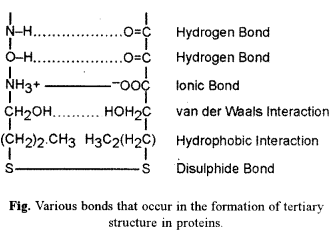 ISC Biotechnology Question Paper 2014 Solved for Class 12 6