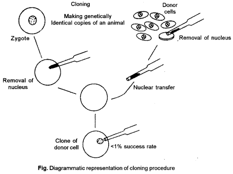 ISC Biotechnology Question Paper 2014 Solved for Class 12 7