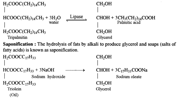 ISC Biotechnology Question Paper 2015 Solved for Class 12 2