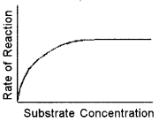 ISC Biotechnology Question Paper 2015 Solved for Class 12 3