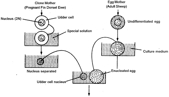 ISC Biotechnology Question Paper 2018 Solved for Class 12 1