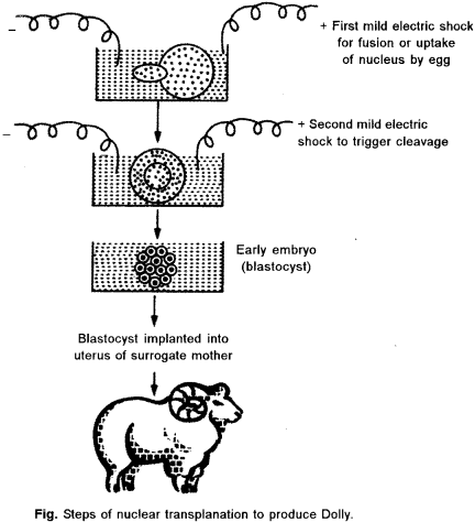 ISC Biotechnology Question Paper 2018 Solved for Class 12 2