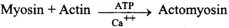 ISC Class 12 Biology Previous Year Question Papers Solved 2011 10