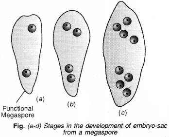 ISC Class 12 Biology Previous Year Question Papers Solved 2011 2