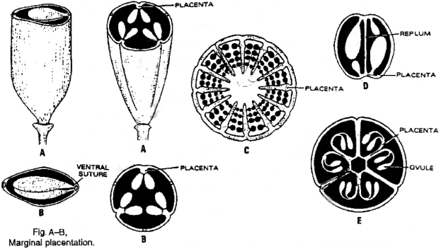 ISC Class 12 Biology Previous Year Question Papers Solved 2015 2