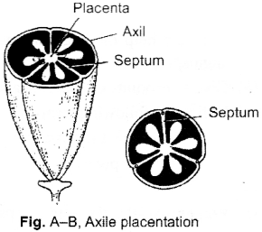 ISC Class 12 Biology Previous Year Question Papers Solved 2015 3