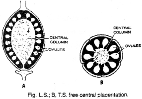 ISC Class 12 Biology Previous Year Question Papers Solved 2015 4