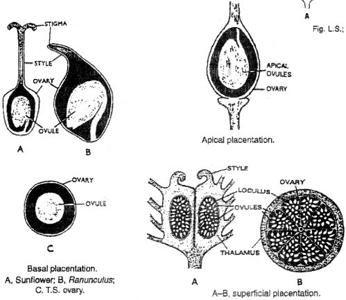 ISC Class 12 Biology Previous Year Question Papers Solved 2015 5