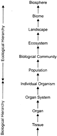 ISC Class 12 Biology Previous Year Question Papers Solved 2016 2