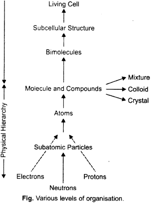 ISC Class 12 Biology Previous Year Question Papers Solved 2016