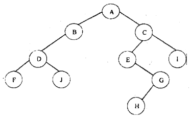 ISC Computer Science Question Paper 2016 Solved for Class 12 image - 17