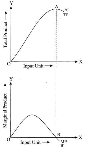 ISC Economics Question Paper 2019 Solved for Class 12 image - 3