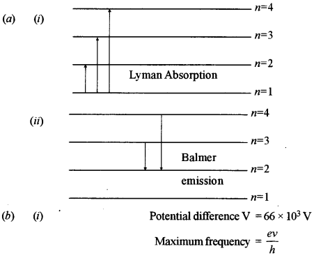 ISC Physics Question Paper 2017 Solved for Class 12 28