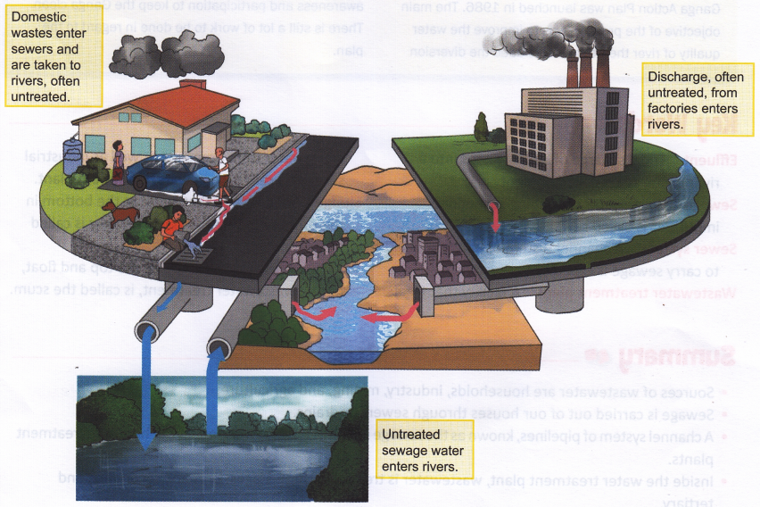 Improper Management Of Sewage 1