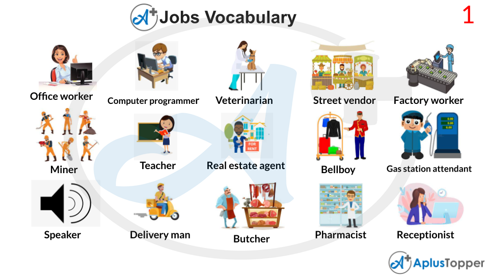 Jobs Vocabulary