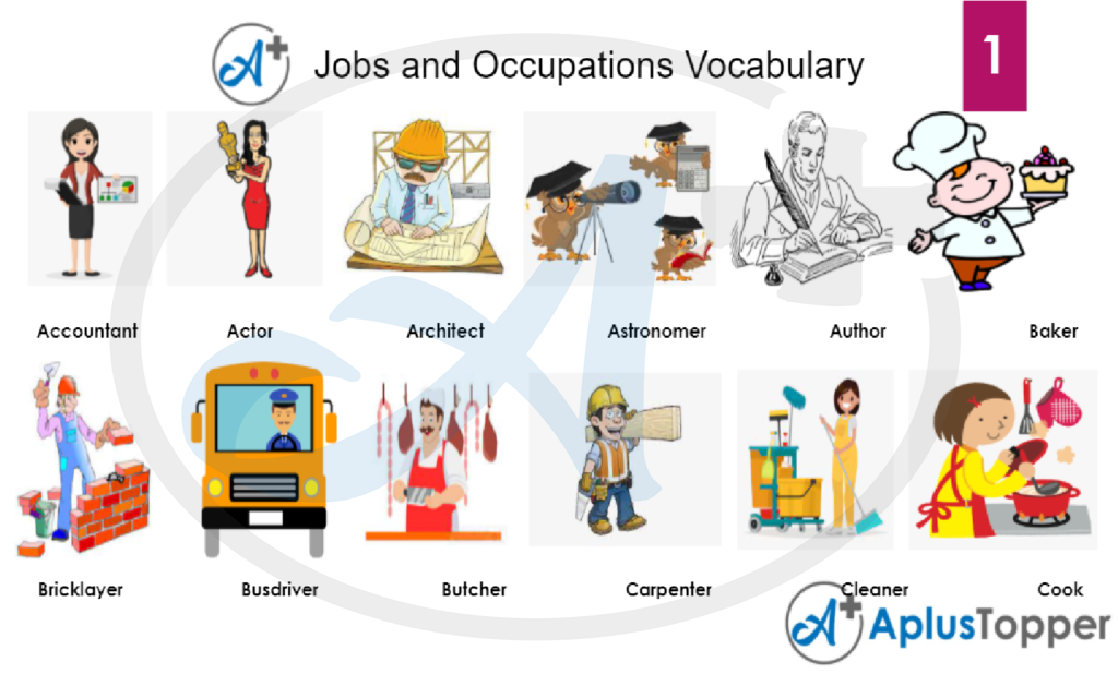 Jobs and Occupation Vocabulary 1