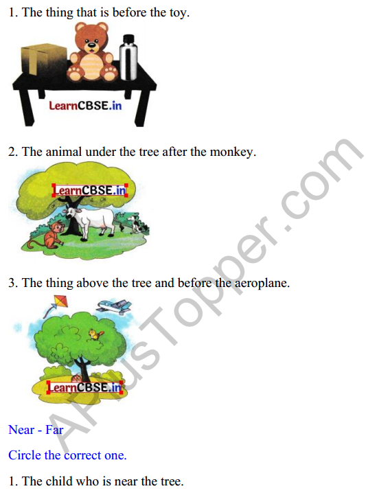 Joyful Class 1 Mathematics Worksheet Chapter 1 Finding the Furry Cat! (Pre-number Concepts) 11