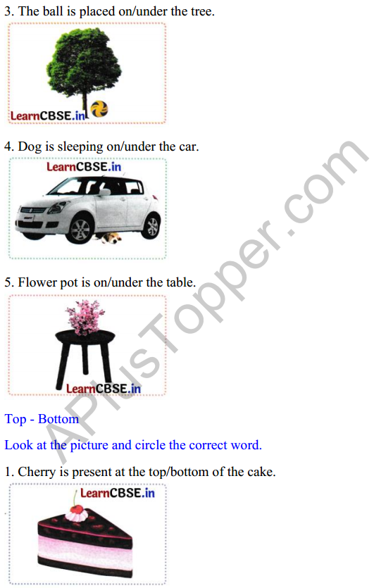 Joyful Class 1 Mathematics Worksheet Chapter 1 Finding the Furry Cat! (Pre-number Concepts) 6