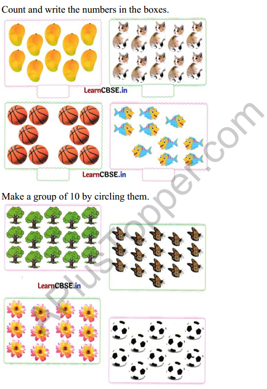 Joyful Class 1 Mathematics Worksheet Chapter 4 Making 10 (Numbers 10 to 20) 5