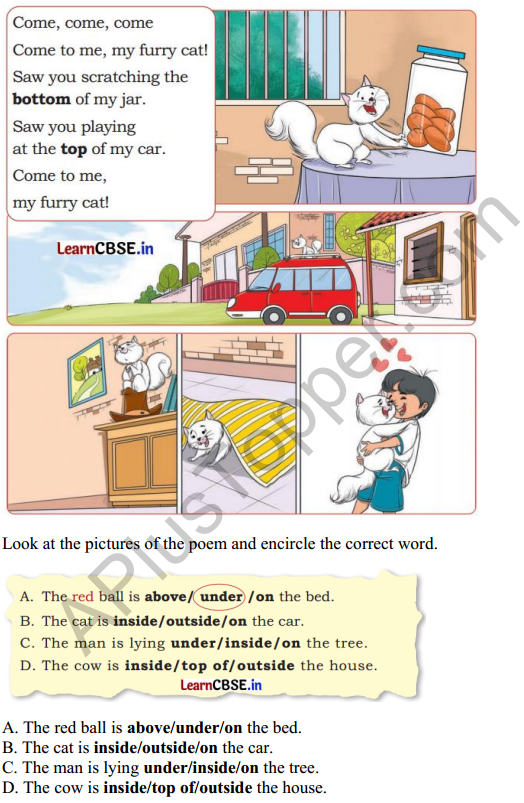 Joyful Mathematics Class 1 Solutions Chapter 1 Finding the Furry Cat! (Pre-number Concepts) 2