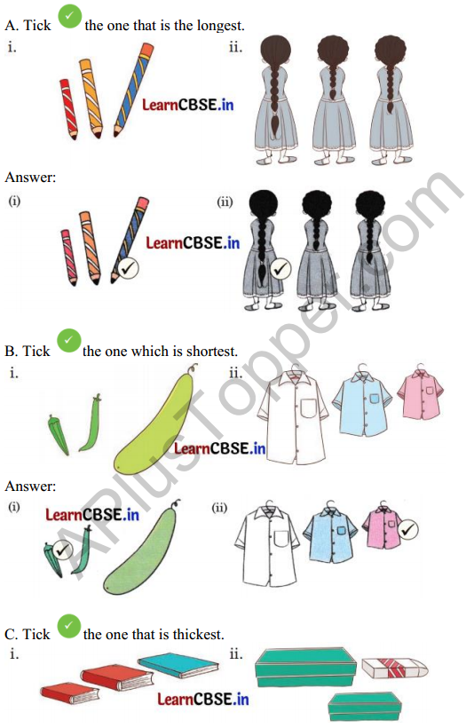 Joyful Mathematics Class 1 Solutions Chapter 7 Lina’s Family (Measurement) 2