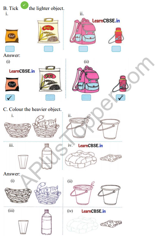 Joyful Mathematics Class 1 Solutions Chapter 7 Lina’s Family (Measurement) 8