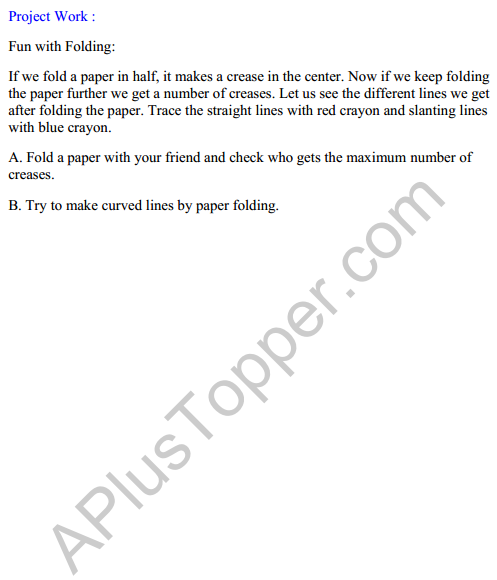 Joyful Mathematics Class 2 Solutions Chapter 5 Playing with Lines (Orientations of a Line) 8