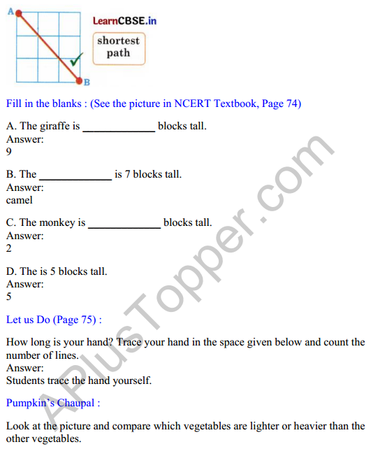 Joyful Mathematics Class 2 Solutions Chapter 7 Rani’s Gift (Measurement) 3