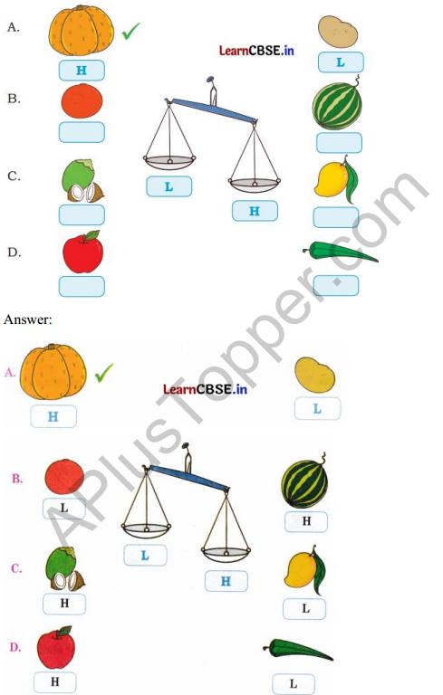 Joyful Mathematics Class 2 Solutions Chapter 7 Rani’s Gift (Measurement) 7