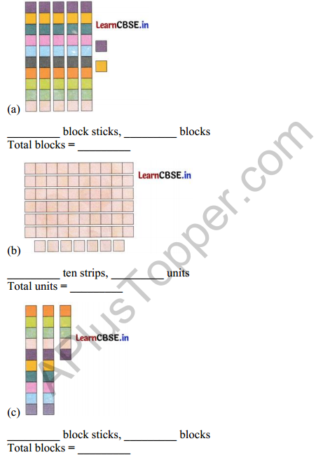 Joyful Mathematics Class 2 Worksheet Chapter 1 A Day at the Beach (Counting in Groups)5