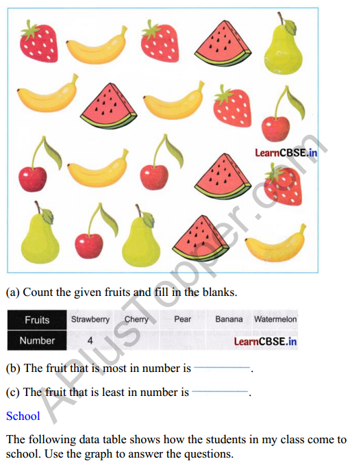 Joyful Mathematics Class 2 Worksheet Chapter 11 Data Handling 2