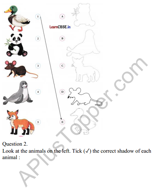 Joyful Mathematics Class 2 Worksheet Chapter 4 Shadow Story (Togalu) (2D Shapes) 3