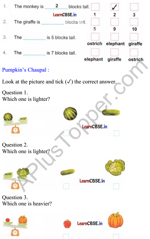 Joyful Mathematics Class 2 Worksheet Chapter 7 Rani’s Gift (Measurement) 4