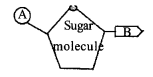 Kerala SSLC Biology Previous Question Papers with Answers 2018 image - 3