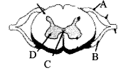 Kerala SSLC Biology Previous Question Papers with Answers 2018 image - 4