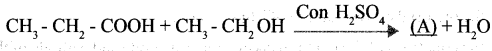 Kerala SSLC Chemistry Model Question Papers with Answers Paper 3 image - 4