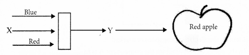 Kerala SSLC Physics Model Question Papers with Answers Paper 3 15.2