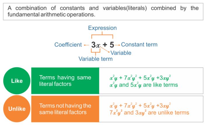 Like terms 1