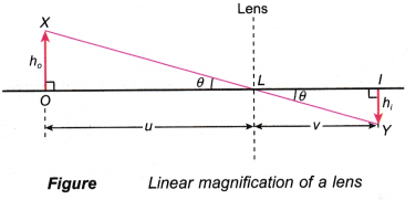 Linear Magnification Lens