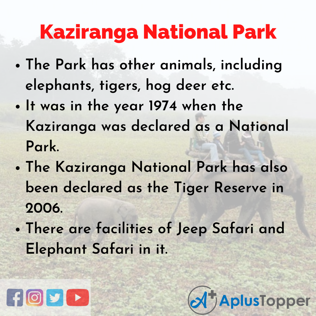 Long Essay on Kaziranga National Park