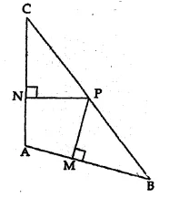 ML Aggarwal Class 10 Solutions for ICSE Maths Chapter 14 Similarity Chapter Test Q2.1