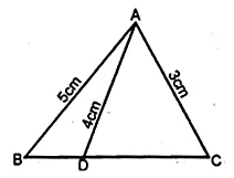 ML Aggarwal Class 10 Solutions for ICSE Maths Chapter 14 Similarity Chapter Test Q9.1