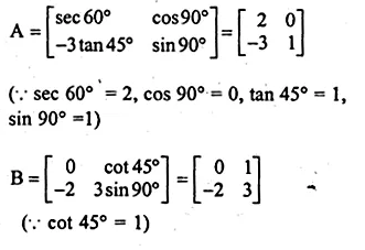 ML Aggarwal Class 10 Solutions for ICSE Maths Chapter 9 Matrices Chapter Test Q13.1