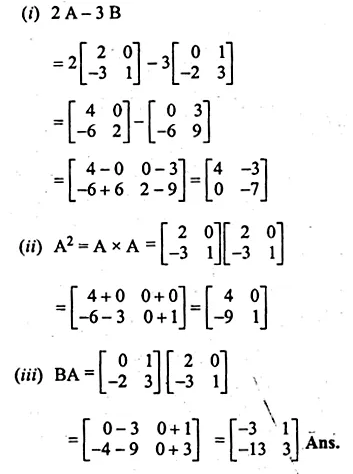 ML Aggarwal Class 10 Solutions for ICSE Maths Chapter 9 Matrices Chapter Test Q13.2