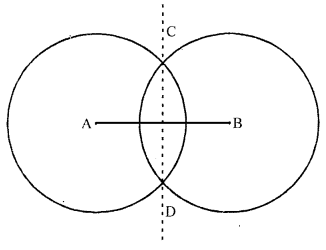 ML Aggarwal Class 6 Solutions for ICSE Maths Chapter 13 Practical Geometry Check Your Progress 3