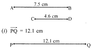 ML Aggarwal Class 6 Solutions for ICSE Maths Chapter 13 Practical Geometry Ex 13.1 11