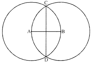 ML Aggarwal Class 6 Solutions for ICSE Maths Chapter 13 Practical Geometry Ex 13.1 7