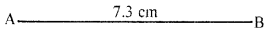 ML Aggarwal Class 6 Solutions for ICSE Maths Chapter 13 Practical Geometry Ex 13.1 8