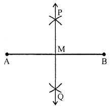 ML Aggarwal Class 6 Solutions for ICSE Maths Chapter 13 Practical Geometry Ex 13.2 3